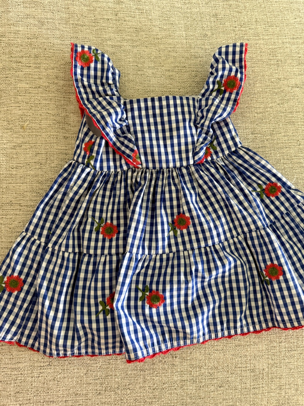 Blueberi Boulevard Blue Gingham Dress with Red Floral Embroidery
